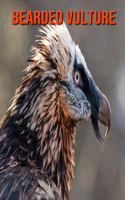 Bearded Vulture