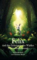 Felix und das Geheimnis des Waldes (Taschenbuch-Fassung)