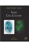 Stem Cell Culture