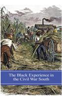 The Black Experience in the Civil War South