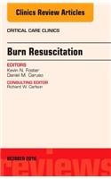 Burn Resuscitation, an Issue of Critical Care Clinics