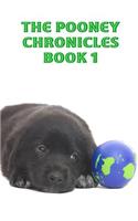 Pooney Chronicles Book 1