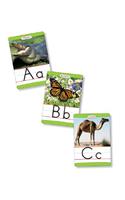 Animals from A to Z Manuscript Alphabet Set