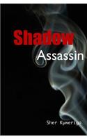 Shadow Assassin