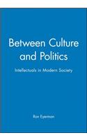 Between Culture and Politics