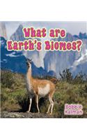 What Are Earth's Biomes?