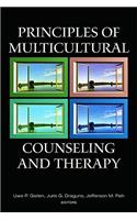 Principles of Multicultural Counseling and Therapy