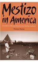 Mestizo in America