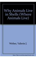 Why Animals Live in Shells