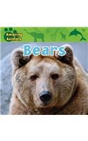 Bears