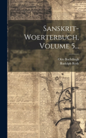 Sanskrit-woerterbuch, Volume 5...