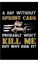 A Day Without Sprintcars Probably Won't Kill Me But Why Risk It?: Weekly 100 page 6 x 9 journal to jot down your ideas and notes