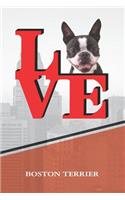 Boston Terrier: Dog Love Park Isometric Dot Paper Notebook Book Is 120 Pages 6x9