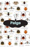 Paige: Bug Insect Weekly Planer Book Notebook Journal Book 120 Pages 6x9