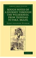 Rough Notes of a Journey through the Wilderness, from Trinidad to Pará, Brazil