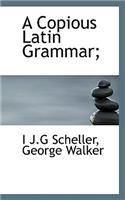 A Copious Latin Grammar;