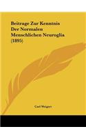 Beitrage Zur Kenntnis Der Normalen Menschlichen Neuroglia (1895)