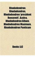Rhododendron: Rhododendron 'President Roosevelt', Azalea, Rhododendron Album, Rhododendron Maximum, Rhododendron Ponticum(English)