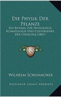 Physik Der Pflanze