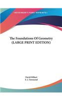 Foundations Of Geometry (LARGE PRINT EDITION)