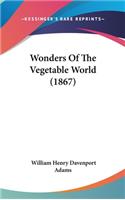 Wonders Of The Vegetable World (1867)