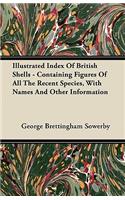 Illustrated Index Of British Shells - Containing Figures Of All The Recent Species, With Names And Other Information