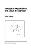 Perceptual Organization and Visual Recognition