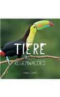 Die Tiere des Regenwaldes