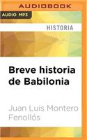 Breve Historia de Babilonia