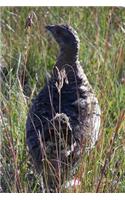 A Short Tailed Grouse in Custer State Park South Dakota USA Bird Journal: 150 Page Lined Notebook/Diary