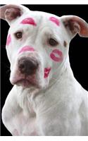 Cutes White Pit Bull Dog with Pink Lipstick Kisses Pet Journal