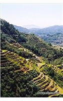 Banaue Rice Terraces