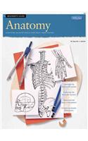 Beginner's Guide Anatomy