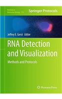 RNA Detection and Visualization