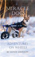 Miracle Dogs