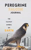 Peregrine falcon journal &Notebook 6
