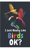 I Just Really Like Birds Ok