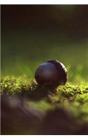 An Acorn Fallen on Moss in the Forest Journal: Take Notes, Write Down Memories in this 150 Page Lined Journal