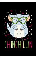Chinchillin