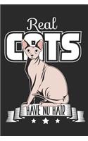 I Love My Sphynx Cat