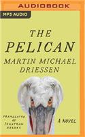 Pelican