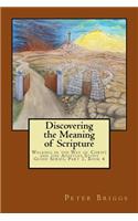 Discovering the Meaning of Scripture