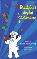 Bradykin's Joyful Adventure