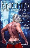 Knights of the Amber Vale, Volume 1: The Scarlet Swordsman(1 Knights of the Amber Vale)