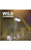 Wild Flowers Calendar 2018
