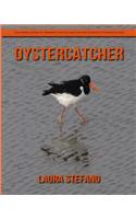 Oystercatcher: Children's Book of Amazing Photos and Fun Facts about Oystercatcher