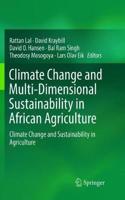 Climate Change and Multi-Dimensional Sustainability in African Agriculture