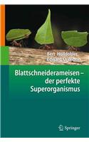 Blattschneiderameisen Der Perfekte Superorganismus