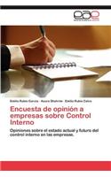 Encuesta de Opinion a Empresas Sobre Control Interno