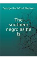 The Southern Negro as He Is